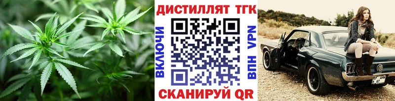 Дистиллят ТГК концентрат  наркота  сайты даркнета состав  Михайловск 