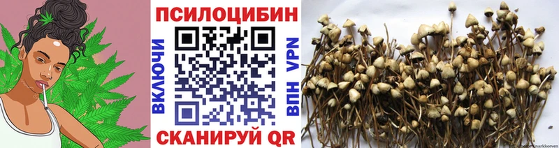 Псилоцибиновые грибы мухоморы  Михайловск 