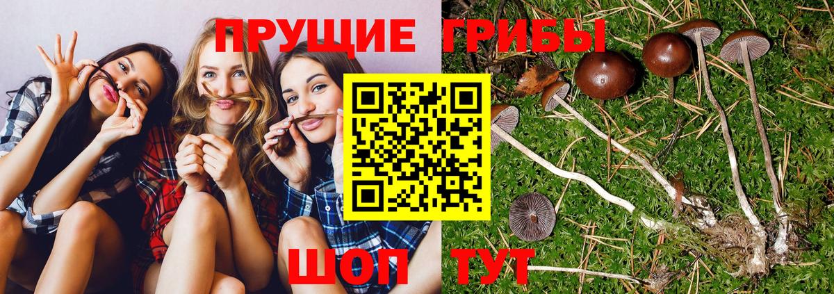 Галлюциногенные грибы мицелий  Вход с VPN  Михайловск 