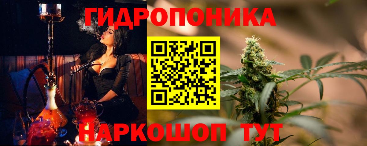 Альфа ПВП Михайловск